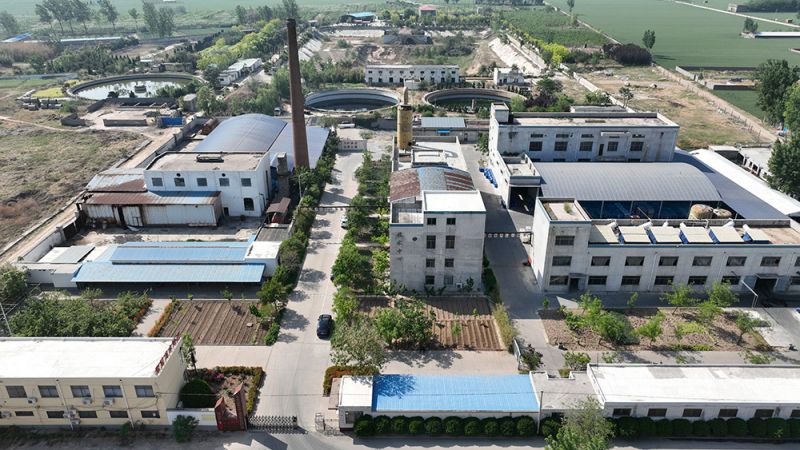 企業(yè)實(shí)力